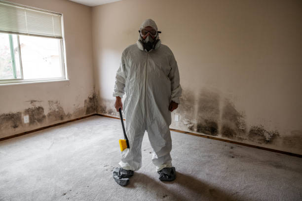 Professional Mold Remediation in Whitemarsh Island, GA